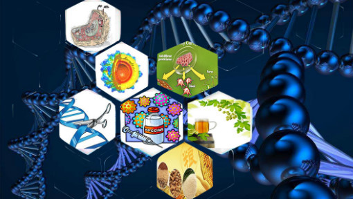 改變生活的生物技術 細胞工程如何重塑我們的世界